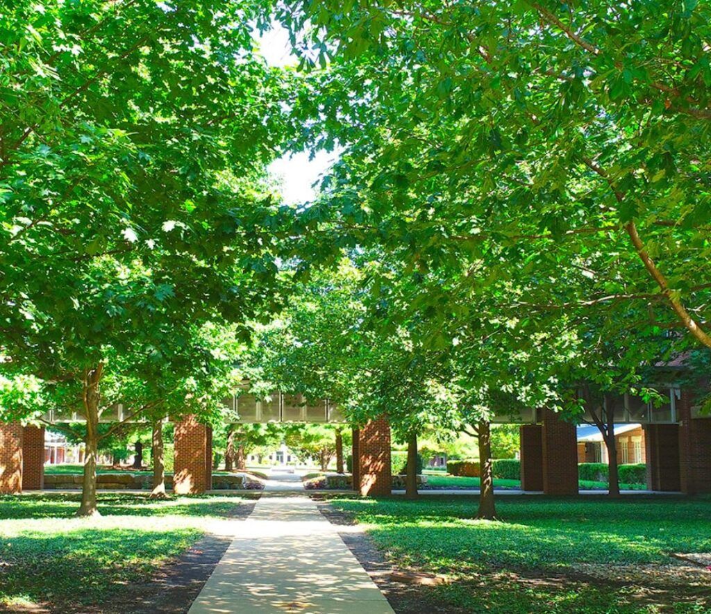 Walkable Green Spaces