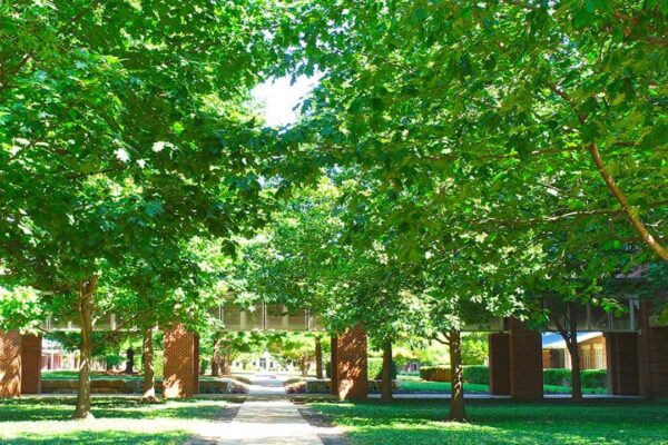 Walkable Green Spaces Walkable Green Spaces