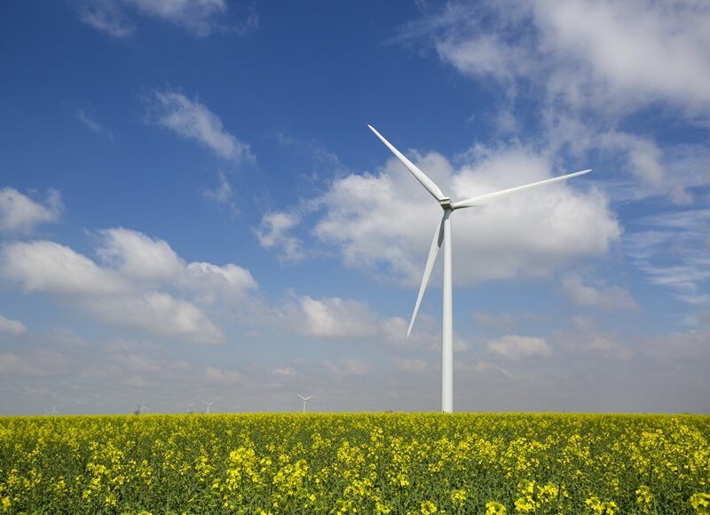 Celebrating Earth’s Day – April 22