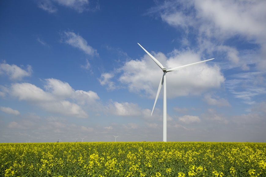 Celebrating Earth Day – April 22